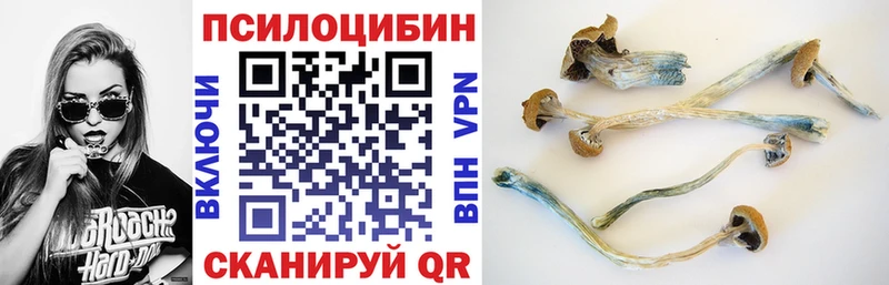 Галлюциногенные грибы ЛСД  где продают наркотики  ссылка на мегу ТОР  Солнечногорск 